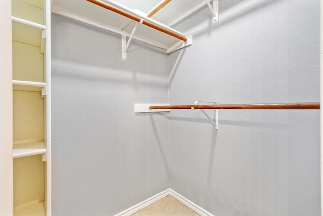 2207 Shoalmont Dr, Austin, TX 78756 - view of spacious closet