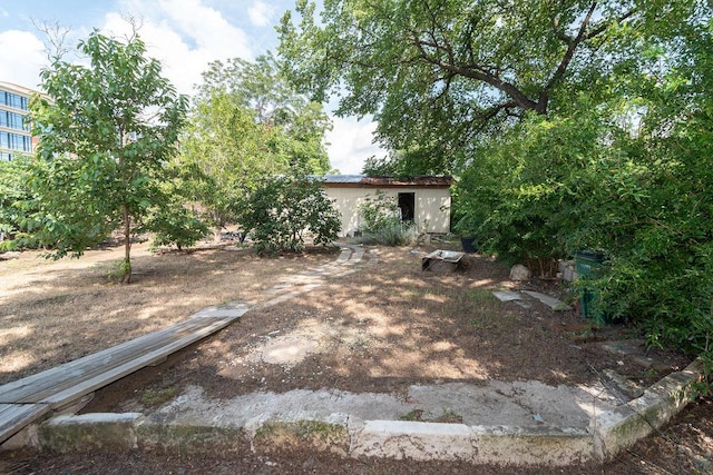 1106 Saucedo St, Austin, TX 78721 - view of yard