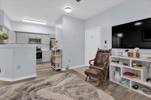 2320 Gracy Farms Ln Unit 918, Austin, TX 78758 - living area with light wood-type flooring