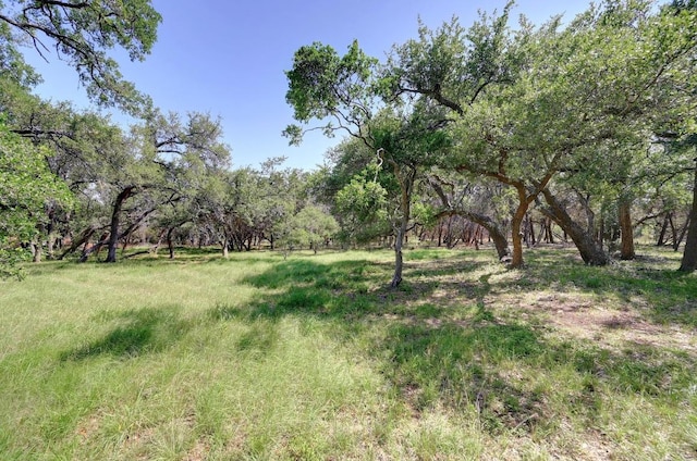 TBD Raincloud, Wimberley, TX 78676 - photo 2