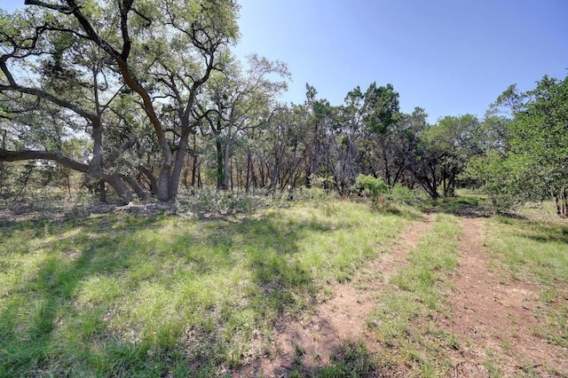 TBD Raincloud, Wimberley, TX 78676 - photo 3