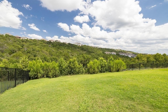 1332 Brescia Walk, Leander, TX 78641 - view of yard with a wooded view