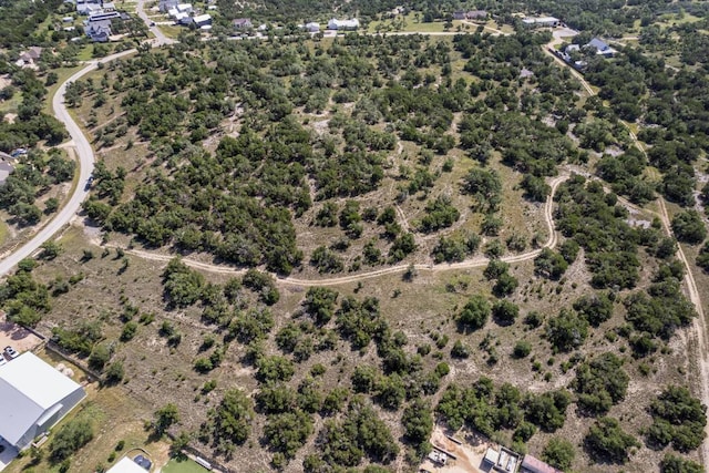 LotG(Subdivided) Mirela Ann Road, Dripping Springs, TX 78620 - photo 4