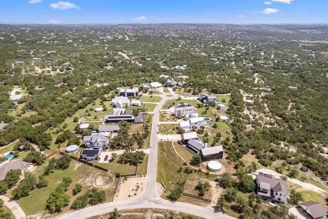 LotG(Subdivided) Mirela Ann Road, Dripping Springs, TX 78620 - photo 5