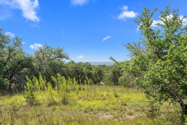 LotG(Subdivided) Mirela Ann Road, Dripping Springs, TX 78620 - photo 1