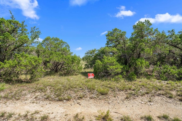 LotG(Subdivided) Mirela Ann Road, Dripping Springs, TX 78620 - photo 3