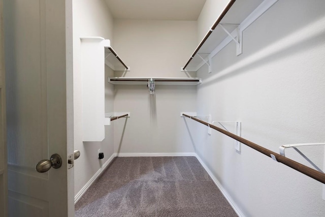 21016 Abigail Way, Pflugerville, TX 78660 - walk in closet featuring dark colored carpet