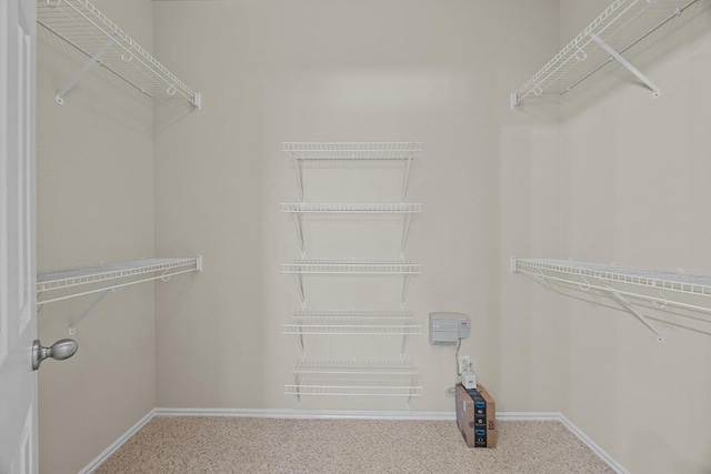 1310 Parmer Ln W Unit 3201, Austin, TX 78727 - spacious closet with carpet flooring