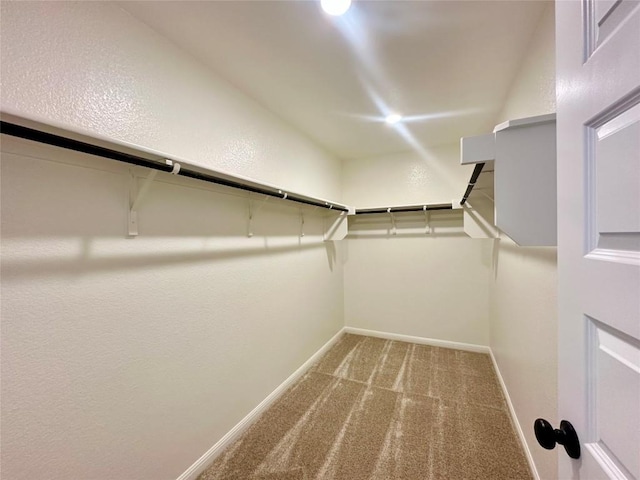 149 Gullivers Dr, Elgin, TX 78621 - spacious closet with carpet