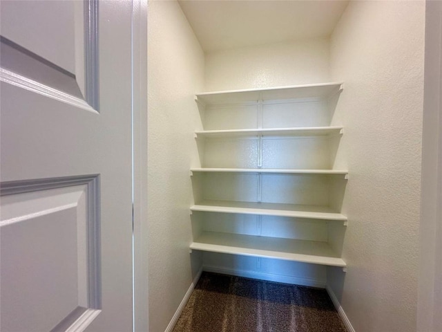 149 Gullivers Dr, Elgin, TX 78621 - view of storage area