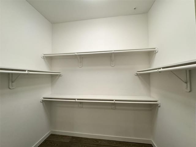 800 Embassy Dr Unit 137, Austin, TX 78702 - walk in closet with dark wood-style floors