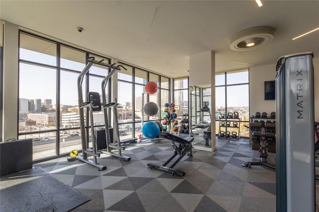 800 Embassy Dr Unit 137, Austin, TX 78702 - exercise room featuring floor to ceiling windows, a view of city, and dark carpet