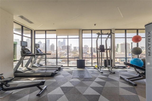 800 Embassy Dr Unit 137, Austin, TX 78702 - workout area featuring a view of skyline, a wall of windows, carpet floors, and plenty of natural light