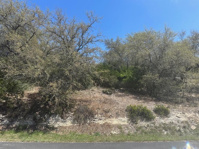 21719 Sierra Trl, Lago Vista, TX 78645 - photo 6
