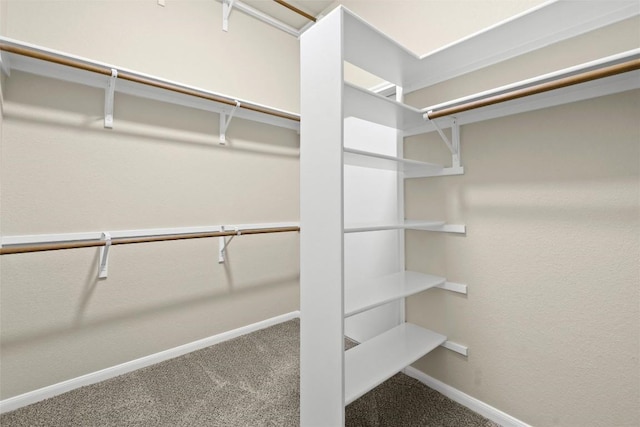 3416 Oxsheer Dr, Austin, TX 78732 - spacious closet with carpet floors