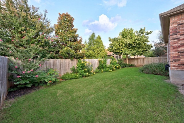 232 Mandana St, Leander, TX 78641 - view of fenced backyard