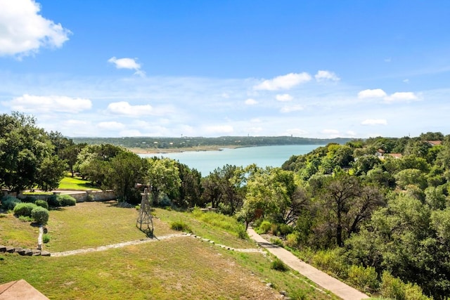 18113 Travis Dr, Lago Vista, TX 78645 - drone / aerial view of a large body of water