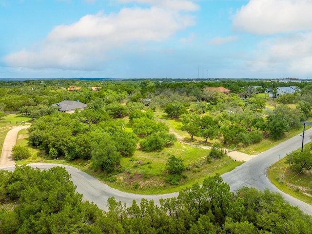1006 Sundance Ridge Dr, Dripping Springs, TX 78620 - photo 3