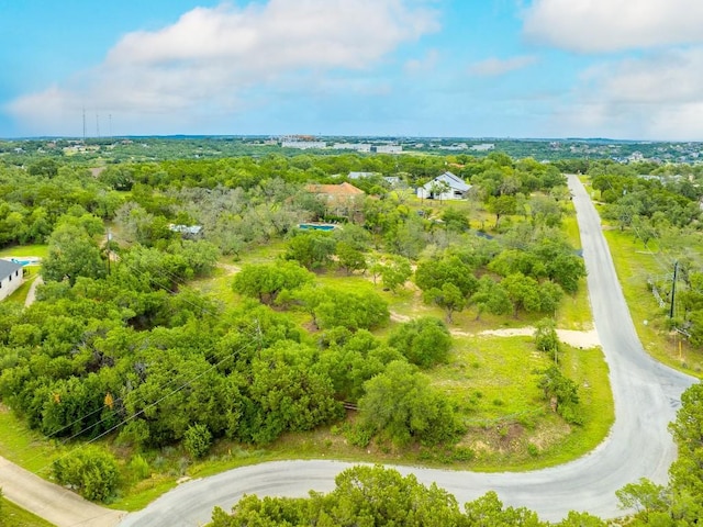 1006 Sundance Ridge Dr, Dripping Springs, TX 78620 - photo 4