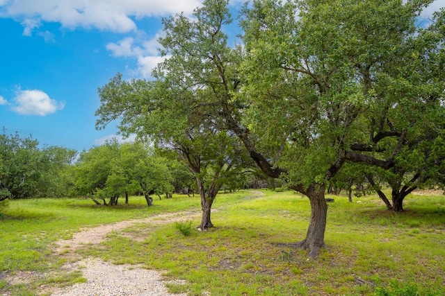 1006 Sundance Ridge Dr, Dripping Springs, TX 78620 - photo 10