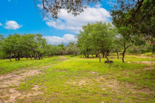1006 Sundance Ridge Dr, Dripping Springs, TX 78620 - photo 11