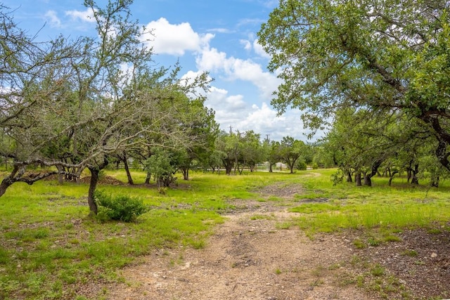 1006 Sundance Ridge Dr, Dripping Springs, TX 78620 - photo 19