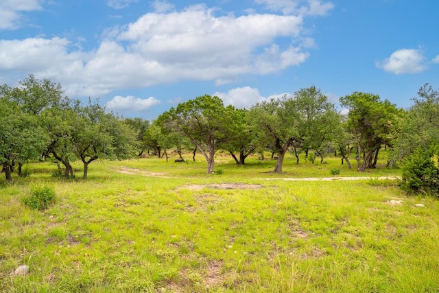 1006 Sundance Ridge Dr, Dripping Springs, TX 78620 - photo 23