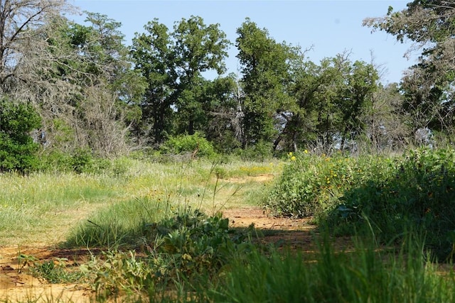 5857 County Road 322, Rockdale, TX 76567 - photo 2