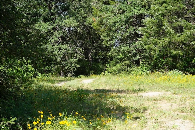 5857 County Road 322, Rockdale, TX 76567 - photo 3