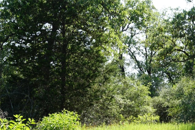 5857 County Road 322, Rockdale, TX 76567 - photo 6