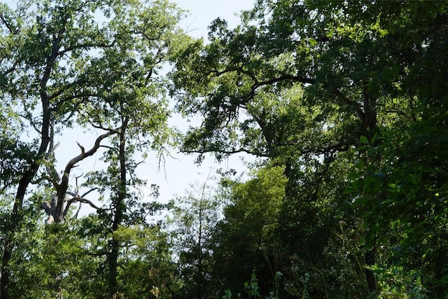 5857 County Road 322, Rockdale, TX 76567 - photo 9