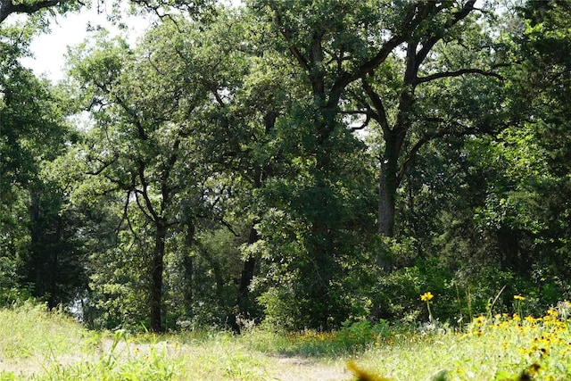 5857 County Road 322, Rockdale, TX 76567 - photo 10