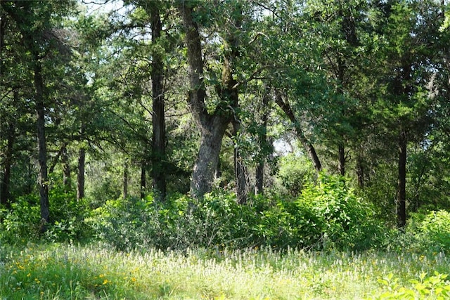 5857 County Road 322, Rockdale, TX 76567 - photo 17