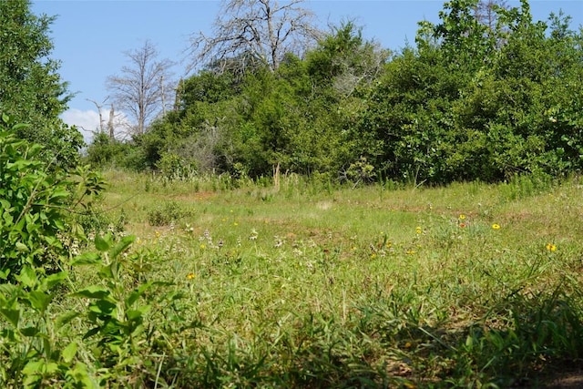 5857 County Road 322, Rockdale, TX 76567 - photo 20