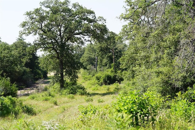 5857 County Road 322, Rockdale, TX 76567 - photo 22