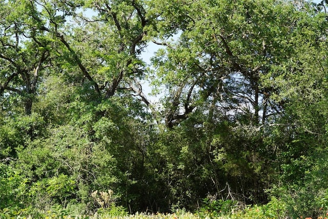 5857 County Road 322, Rockdale, TX 76567 - photo 23