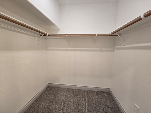 2105 Tiger Trl Unit 703, Round Rock, TX 78664 - spacious closet featuring carpet