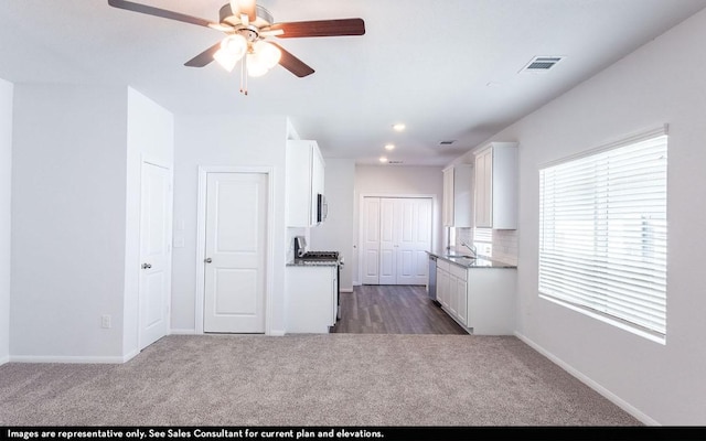 207 Everglades Dr, Kyle, TX 78640 - photo 3
