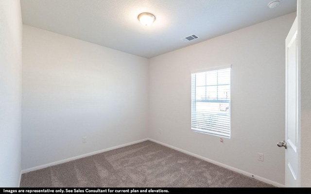 207 Everglades Dr, Kyle, TX 78640 - photo 11