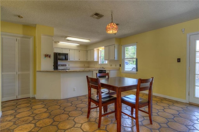 1811 Lone Oak Dr, Leander, TX 78641 - dining room with a textured ceiling