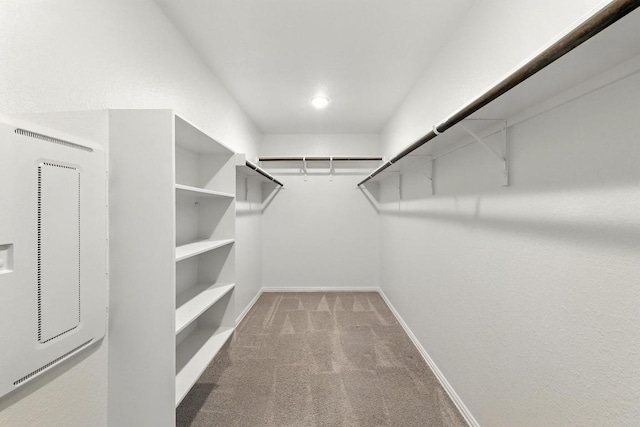 149 Hackberry Ln, Bastrop, TX 78602 - walk in closet featuring carpet flooring