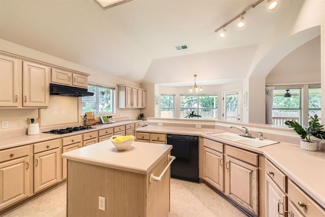 1108 Red Ranch Cir, Cedar Park, TX 78613 - kitchen with black appliances, under cabinet range hood, light countertops, lofted ceiling, and a kitchen island