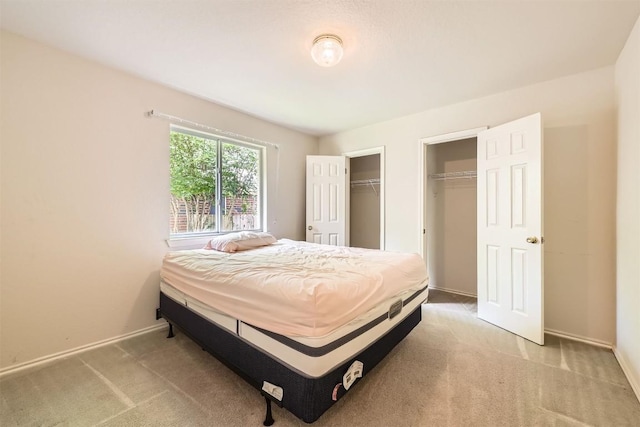 1108 Red Ranch Cir, Cedar Park, TX 78613 - bedroom with light colored carpet and multiple closets