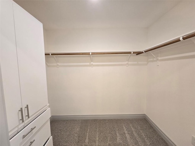 2105 Tiger Trl Unit 702, Round Rock, TX 78664 - spacious closet with carpet