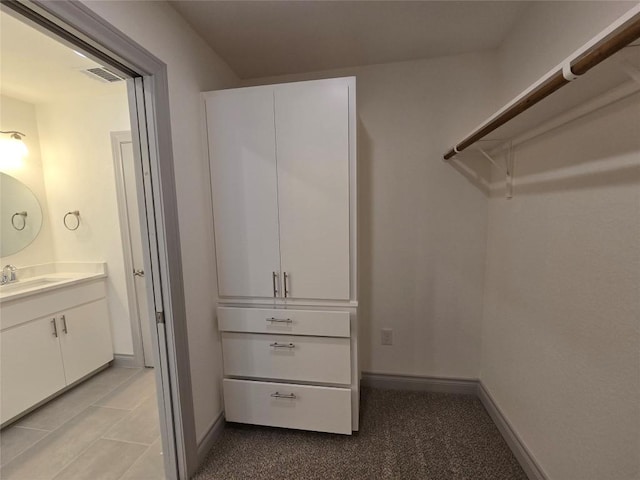 2105 Tiger Trl Unit 702, Round Rock, TX 78664 - view of spacious closet