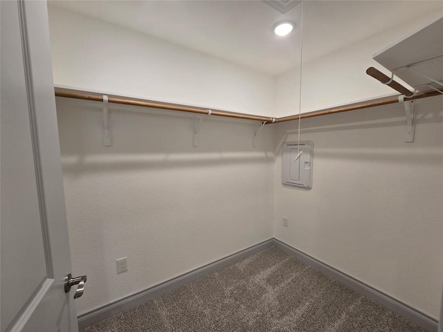 2105 Tiger Trl Unit 702, Round Rock, TX 78664 - walk in closet featuring electric panel and dark colored carpet