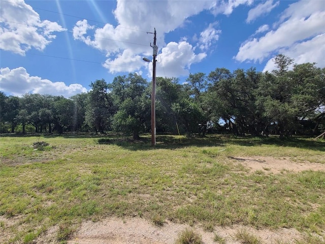 601 Phillip Ln, Liberty Hill, TX 78642 - photo 2