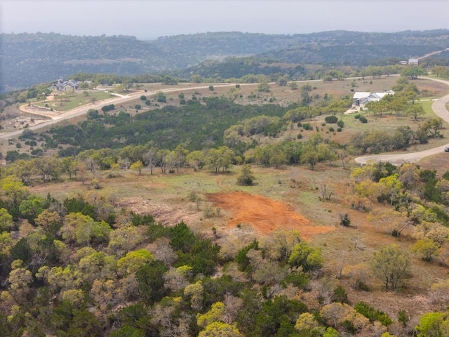 LOT109 Oryx Cv, Blanco, TX 78606 - photo 3