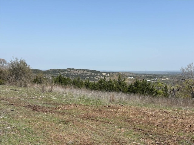 LOT109 Oryx Cv, Blanco, TX 78606 - photo 4