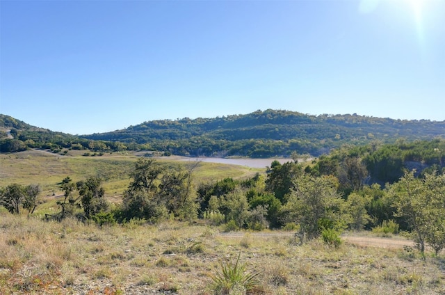 LOT109 Oryx Cv, Blanco, TX 78606 - photo 7